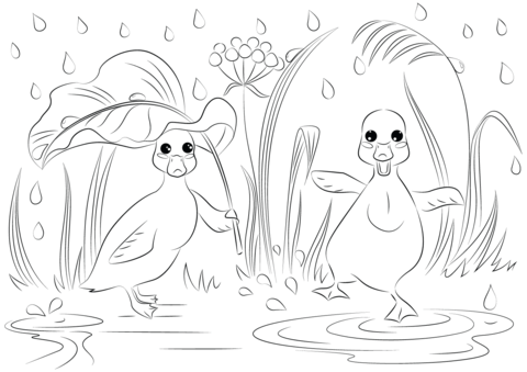 Two Ducks In The Rain Coloring Page